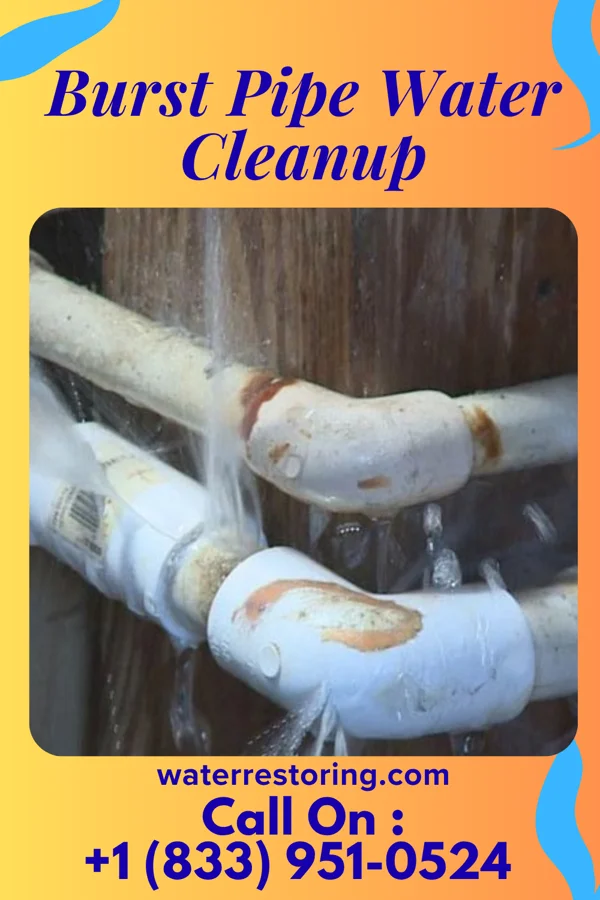 Burst Pipe Water Cleanup in Rockville, UT