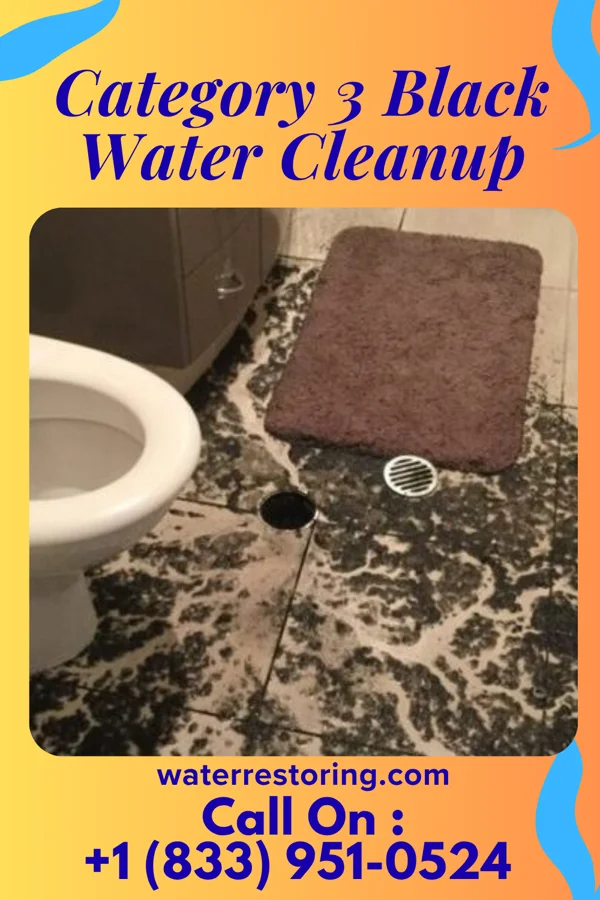 Category 3 Black Water Cleanup in Rockville, UT