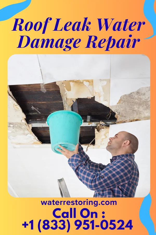 Roof Leak Water Damage Repair in Rockville, UT